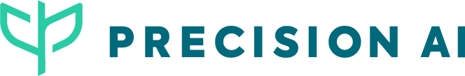 Precision AI